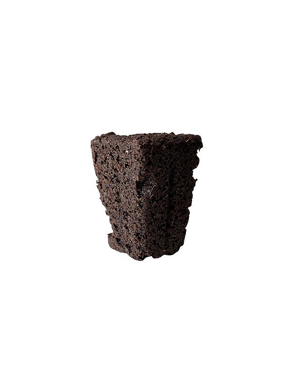 Plug - Enraizamento de mudas