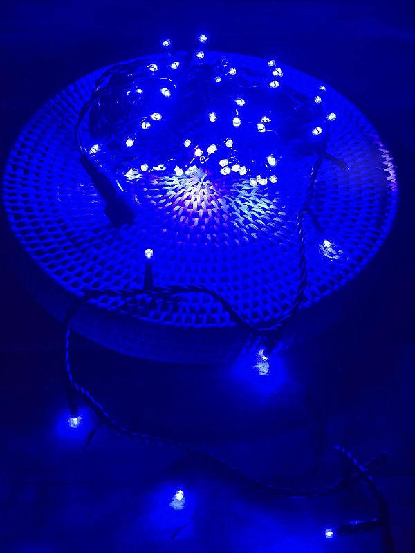 PISCA 100 LEDS AZUL COM STROBO BRANCO FRIO 10 METROS 127V COM EMENDA USO INTERNO E EXTERNO