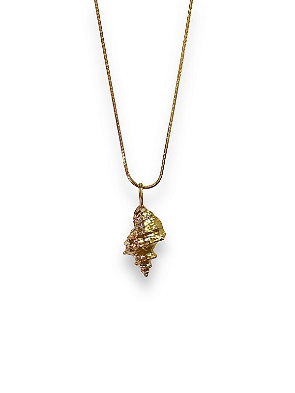 Colar Concha Dóris - Banhado Em Ouro18k