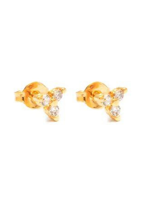 Brinco Florence - Banhado Em Ouro18k