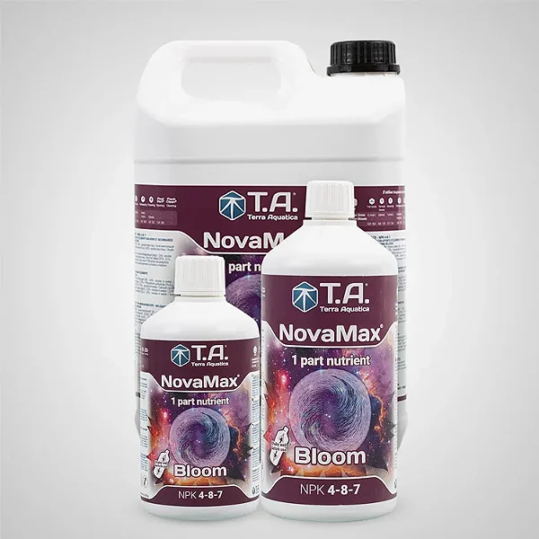 NovaMax Bloom