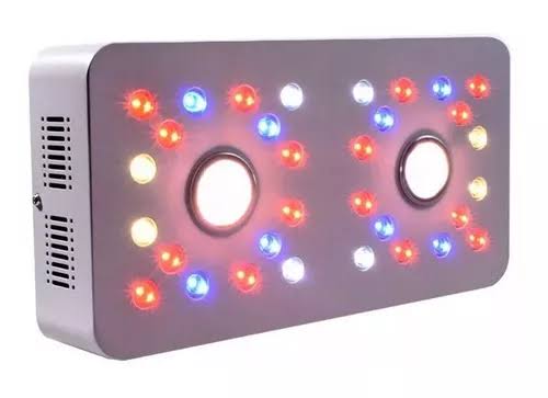 Painel de LED BioLedz Evolution Cree COB DOUBLE - 245w - Bivolt