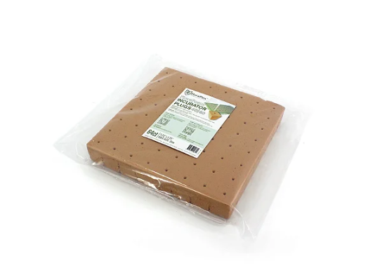 Plugues De Incubadora Para Germinaçao e Clonagem – FLORAFOAM 64un FloraFlex