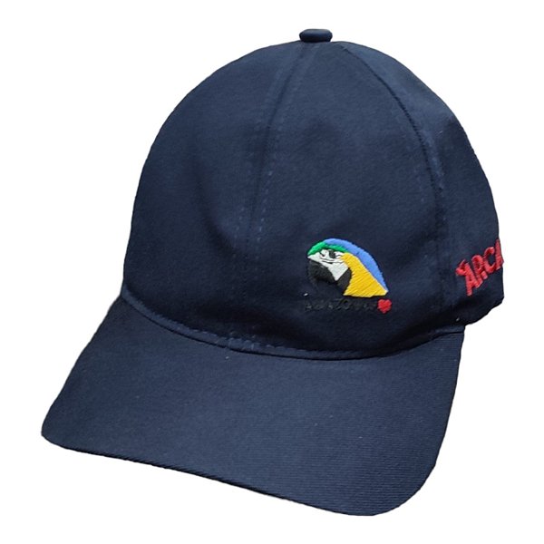 Boné Aba Curva Dad Hat Arara