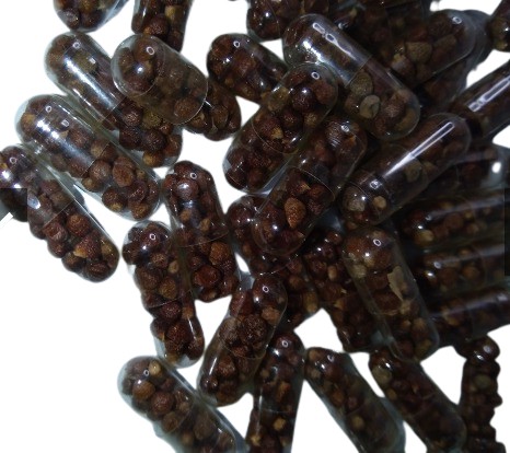 Pimenta da Costa em Cápsula - 12 unidades - Mãe Sereia