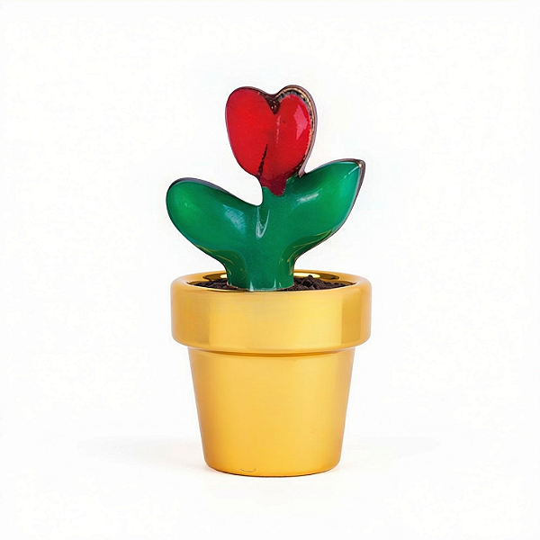 Charm - Planta No Vaso