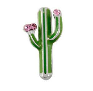 Charm - Cacto Especial