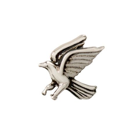 Charm - Símbolo da Casa Ave Especial