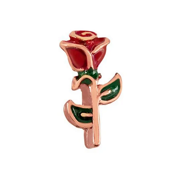 Charm - Rosa Especial