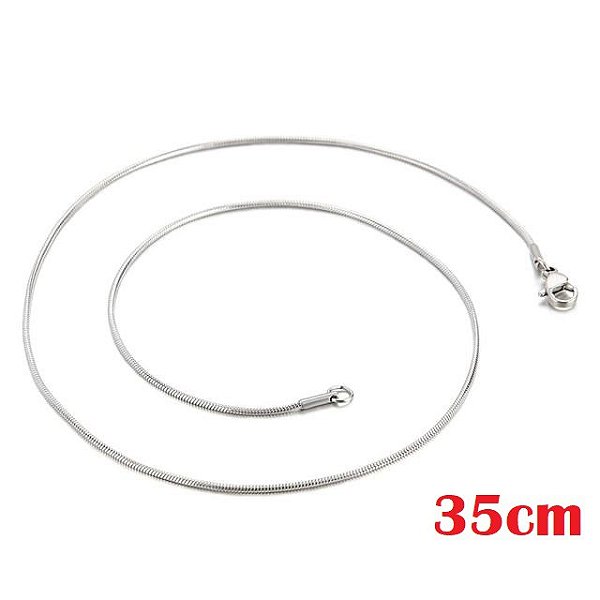 Choker Lisa Prata 35 cm