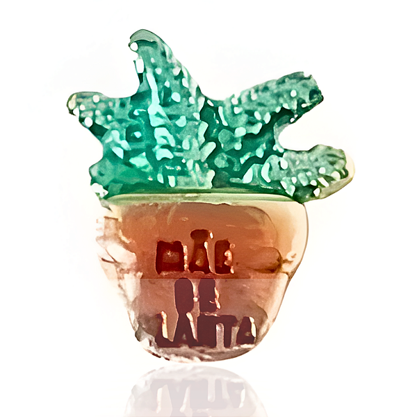 Charm - Mãe de Planta