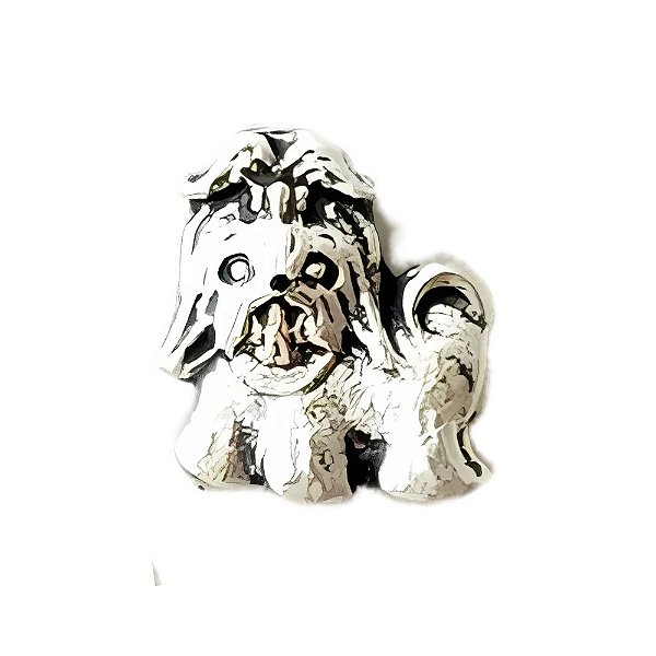 Charm - Shih Tzu/Lhasa Apso Pelo Longo Prata