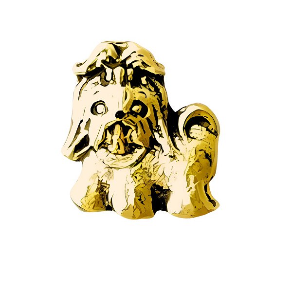 Charm - Shih Tzu/Lhasa Apso Pelo Longo Ouro