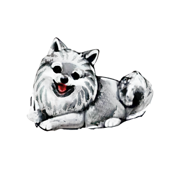 Charm - Spitz Alemão/Lulu da Pomerania Prata