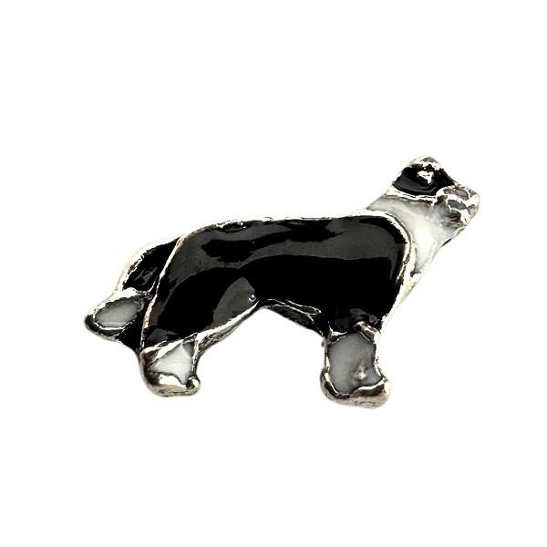 Charm - Border collie Prata