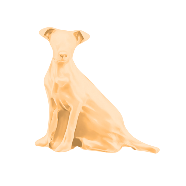 Charm - Cão Vira Lata SRD Caramelo