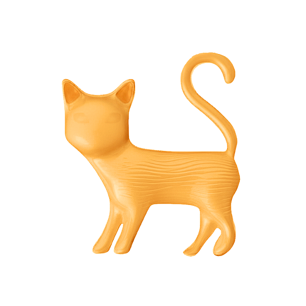 Charm - Gato Laranja