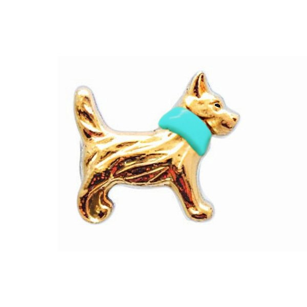 Charm - Cão Ouro Coleira Azul