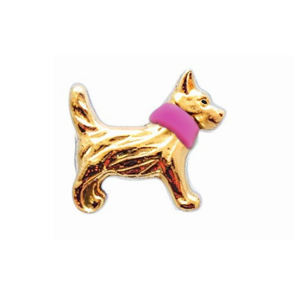 Charm - Cão Ouro Coleira Rosa