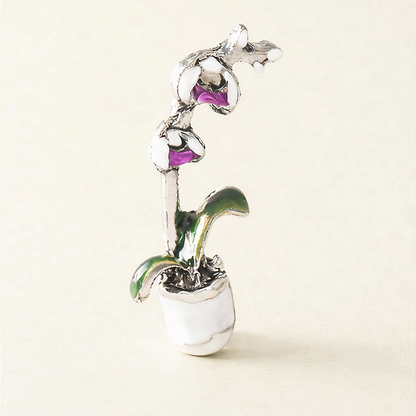 Charm - Vaso de Orquídea Especial