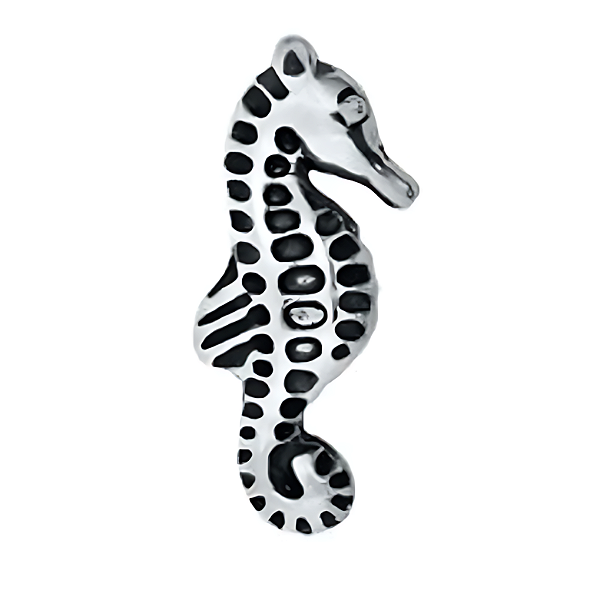 Charm - Cavalo Marinho