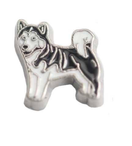 Charm - Husky Siberiano