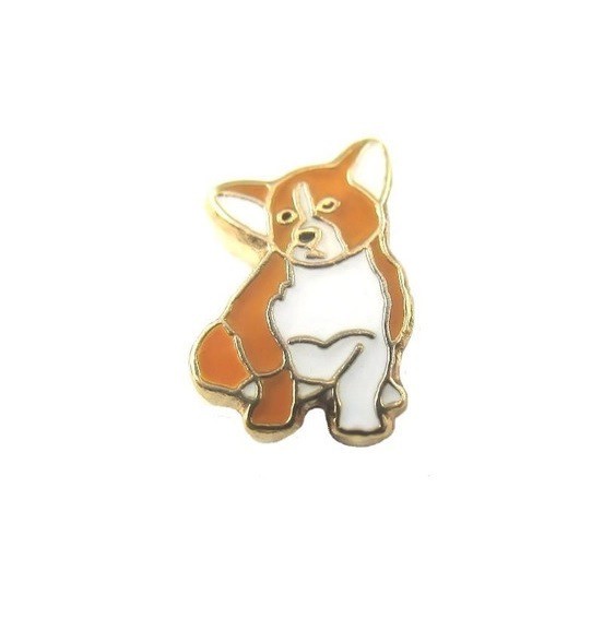 Charm - Bulldog Francês Marrom