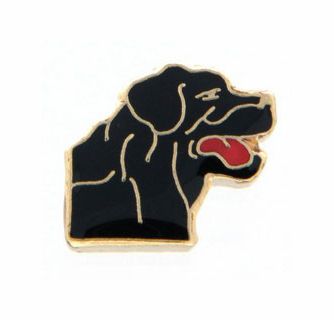 Charm - Labrador Preto