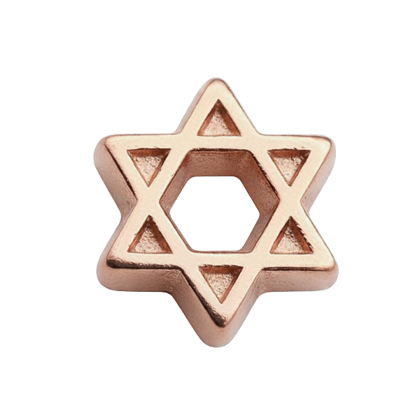 Charm - Estrela de Davi Rose