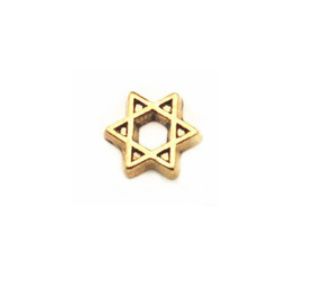 Charm - Estrela de Davi Ouro