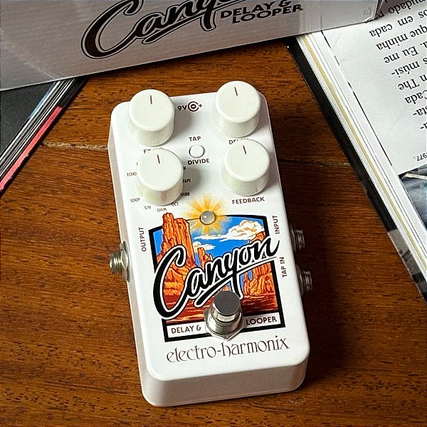Pedal Electro Harmonix Canyon Delay & Looper - SEMINOVO