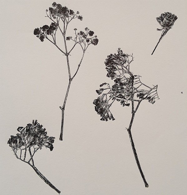 monotipia bouquet