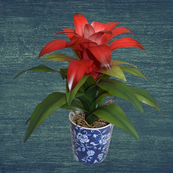 Vaso de porcelana azul e branco com bromélia permanente