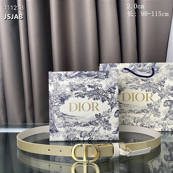 Cinto Christian Dior "Gold&White"