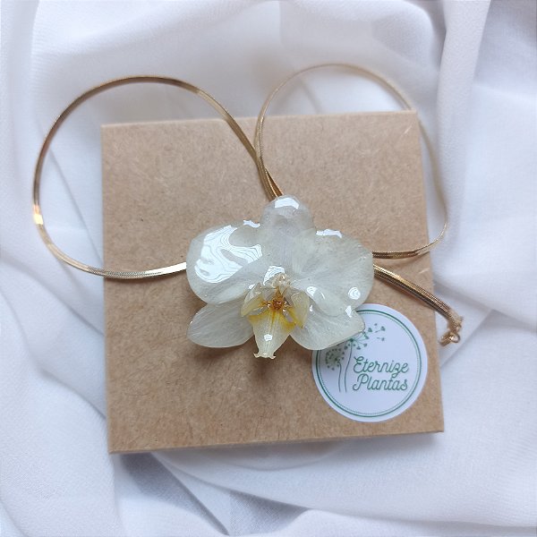 Orquídea Phalaenopsis - ouro