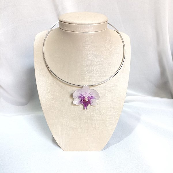 Orquídea Phalaenopsis - roxa riscada