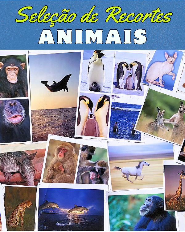 Seleção de Recortes - ANIMAIS