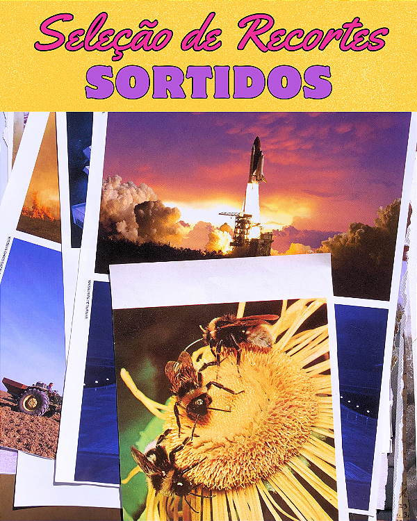 Seleção de Recortes - SORTIDOS