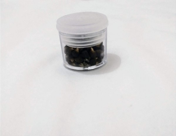 Pimenta Da Costa Africana 9g