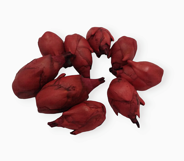 Fava de Pomba Gira