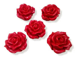 Firma de Rosas