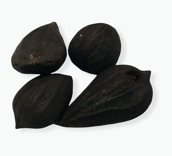 Fava de Exu - Umbanda e Candomblé