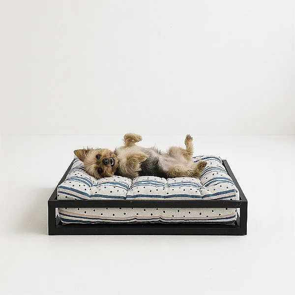 Casinha Pet Petrus S30- Para cães e gatos