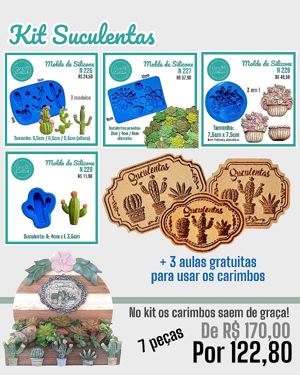 Kit Suculentas - 7 peças