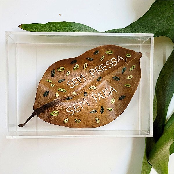 Folha Mimo Folhas Ao Vento