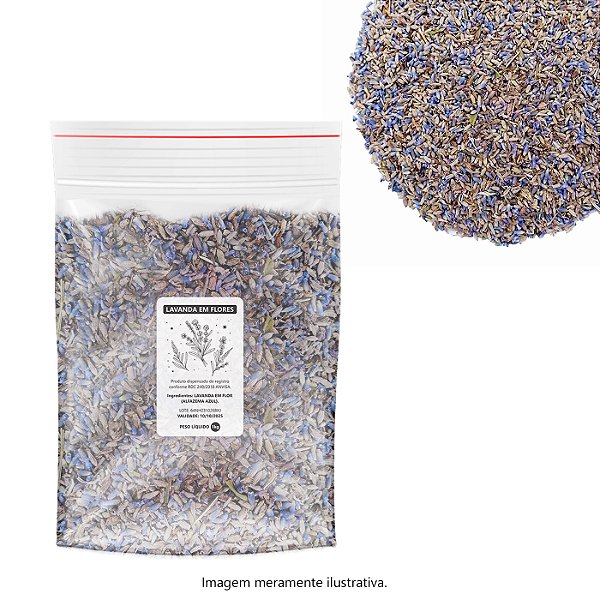 Lavanda Em Flores (Alfazema Azul) Premium