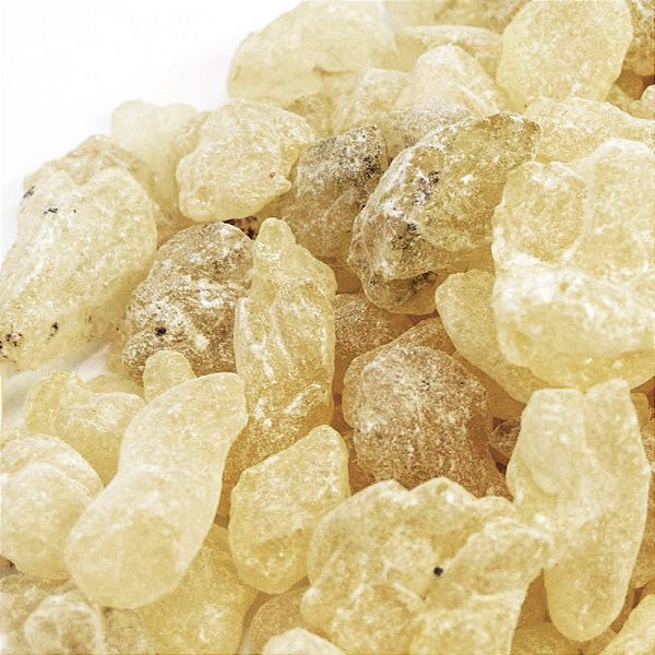 Damar - Resina Natural Para Defumação - Incenso Legítimo