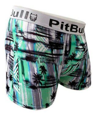 Cueca Box PIT BULL cores variadas TAM (G)