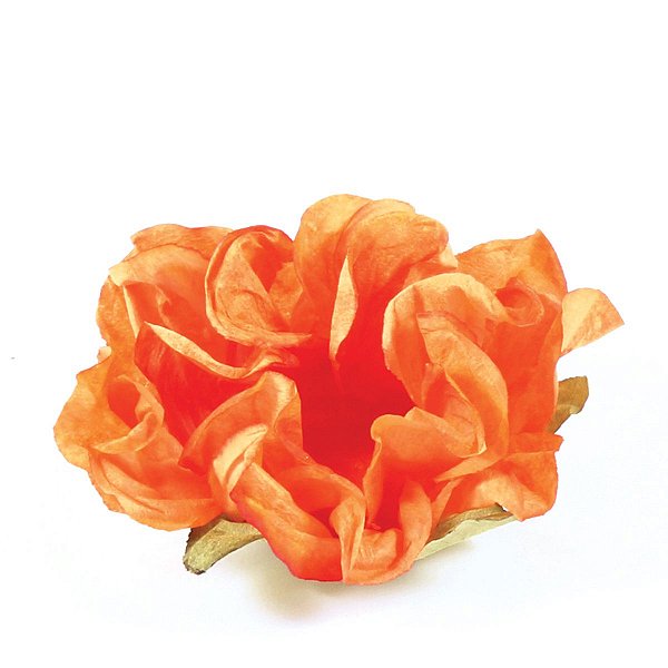 Forminhas para doces 409 cx c/20UN - laranja escuro