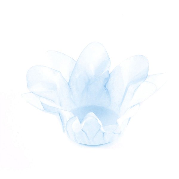 Forminhas para doces Lírio cx c/40UN - azul bebê